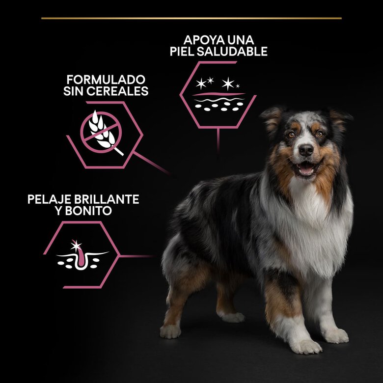 Purina Pro Plan Adult Medium Sensitive Skin Salmón pienso para perros, , large image number null